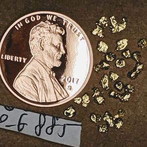 22k Raw Gold Nuggets🥇Top Shelf‼️Mesh #12👉.7gram